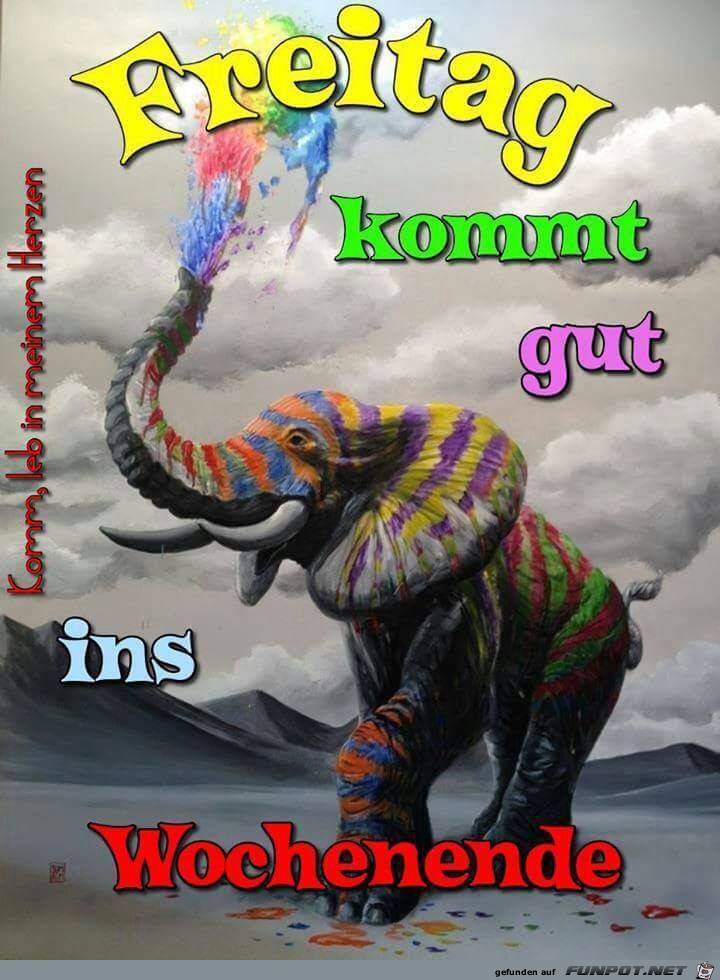 Freitag Freitag