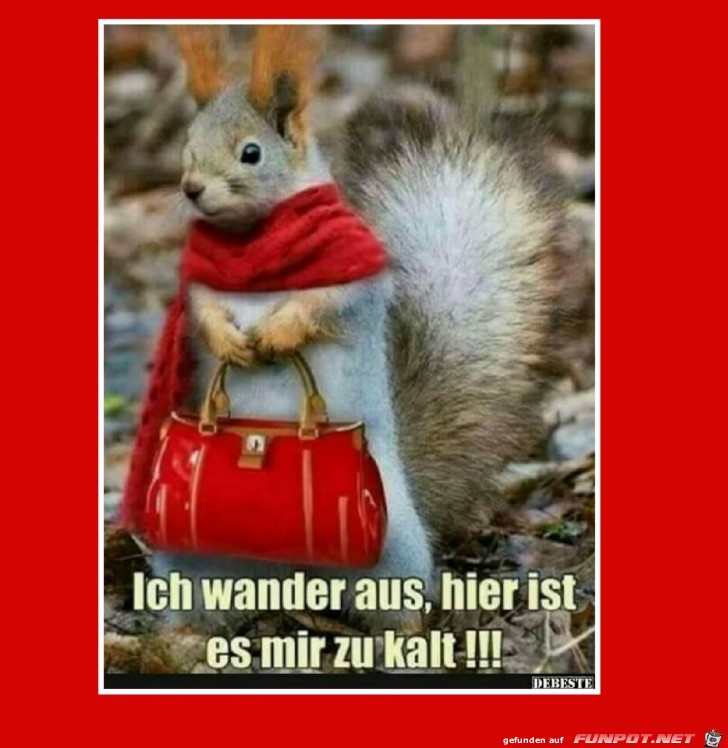 ich wandere aus ich wandere aus