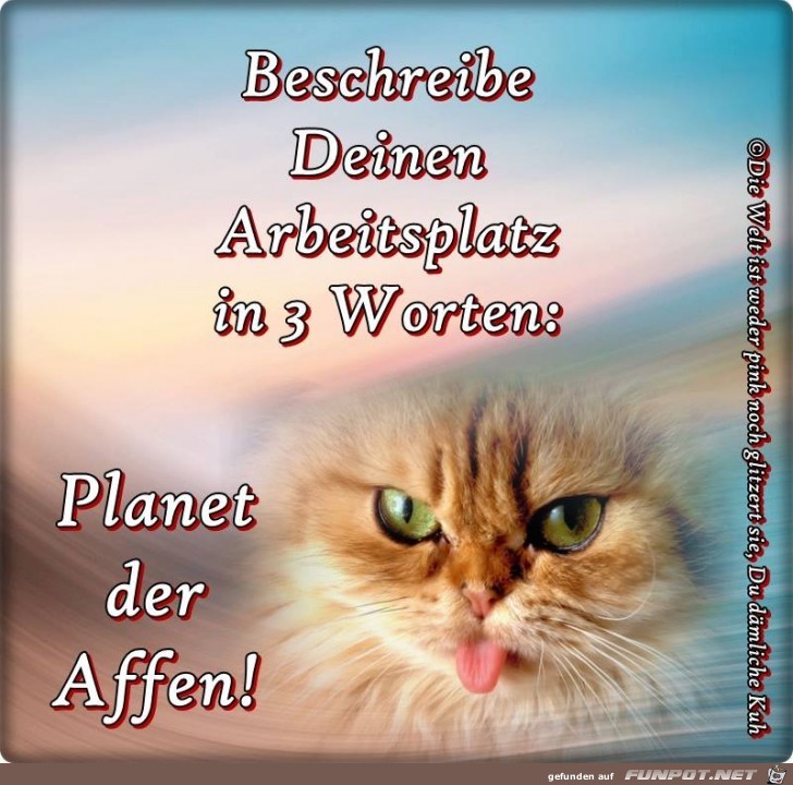 Beschreibe Deinen Arbeitsplatz Beschreibe Deinen Arbeitsplatz