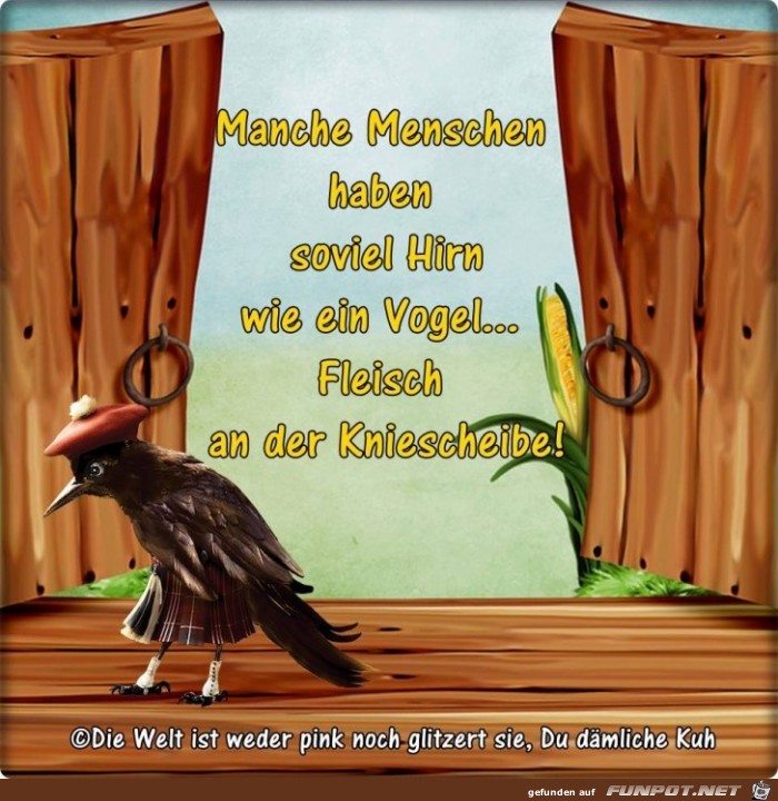 Fleisch an der Kniescheibe Fleisch an der Kniescheibe