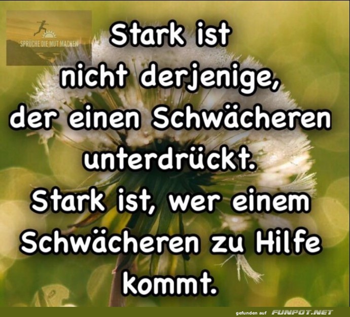 10 sch�ne Spr�che und Lebensweisheiten aus...