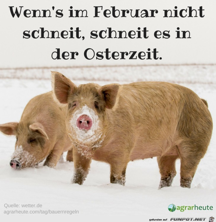 Bauernspruch Bauernspruch