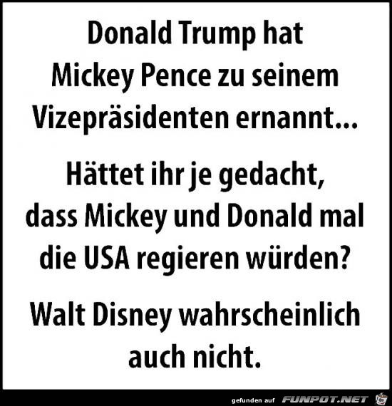 Donald Trump hat...... Donald Trump hat......