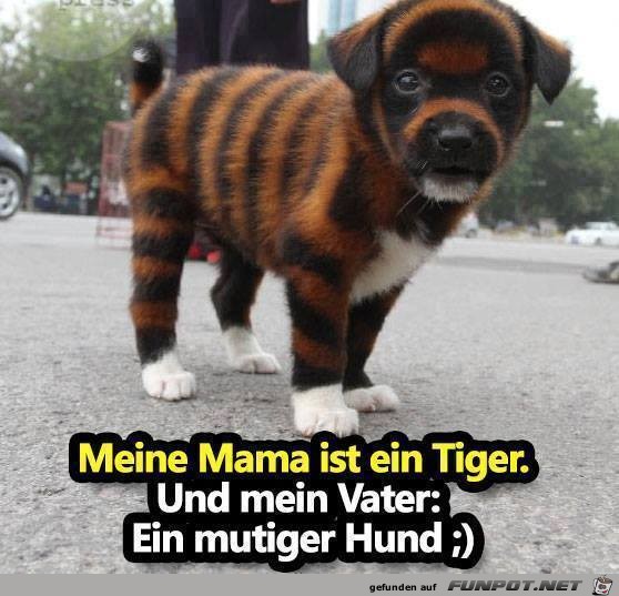 Meine Mama ist ein Tiger