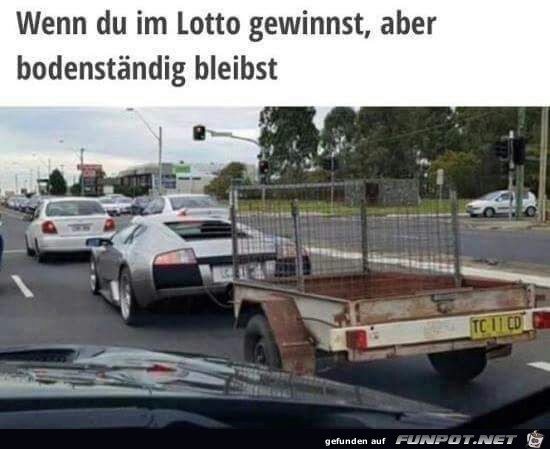 Bodenstndig