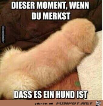 Dieser Moment