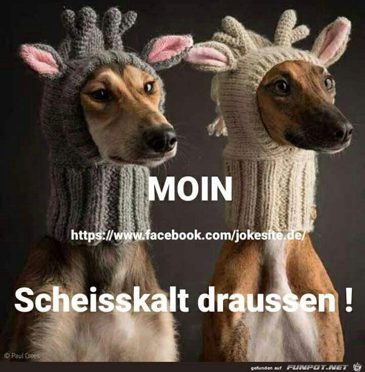 Moin Moin