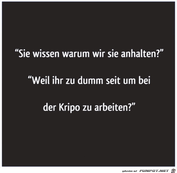 Polizeikontrolle Polizeikontrolle