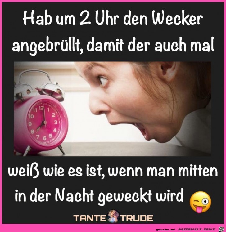 Hab um 2 Uhr den Wecker angebruellt