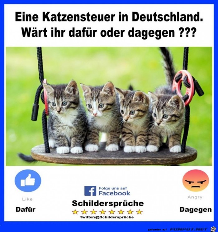 Katzensteuer Katzensteuer