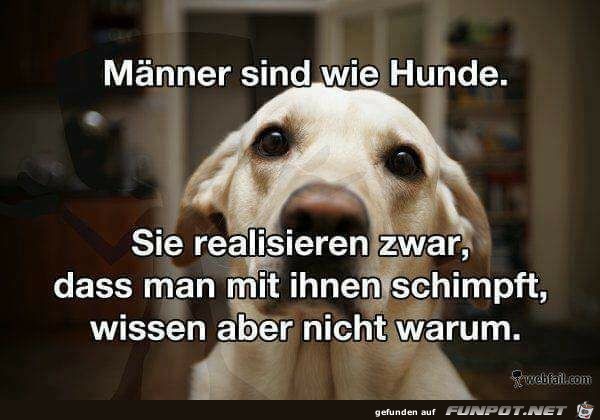 Mnner sind wie Hunde