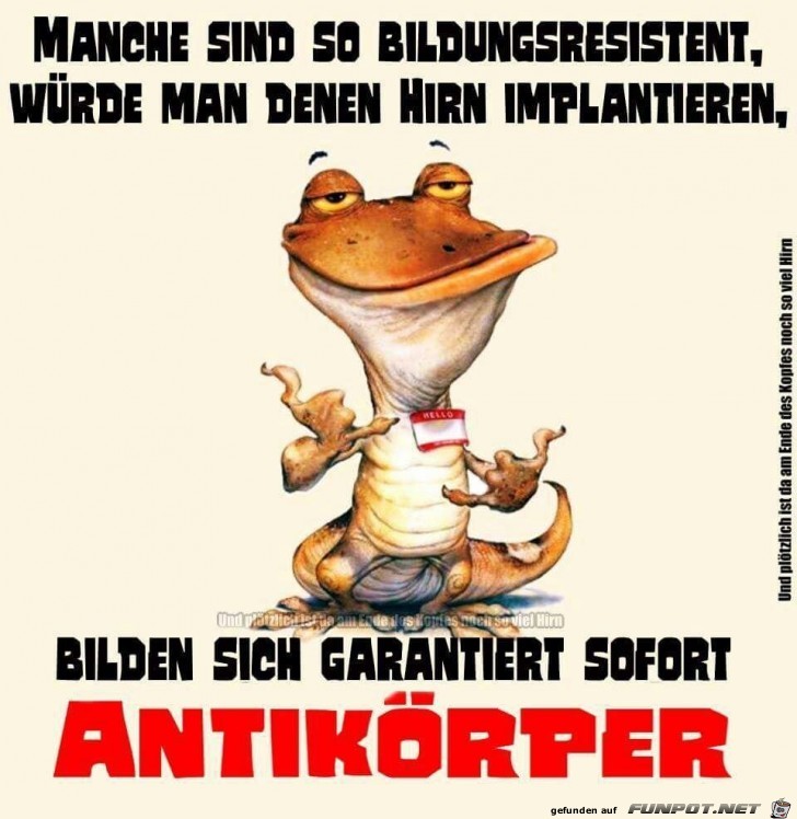 Antikörper Antikörper