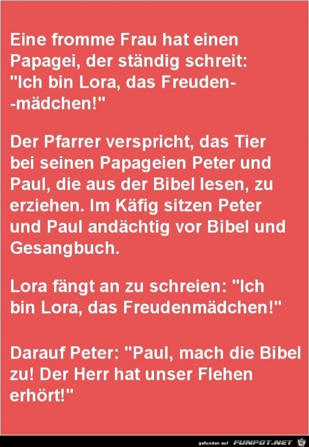 eine fromme Frau hat einen Papagei....... eine fromme Frau hat einen Papagei.......