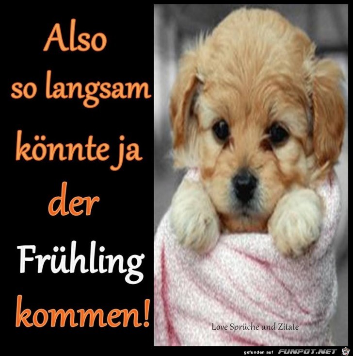Also so langsam Also so langsam