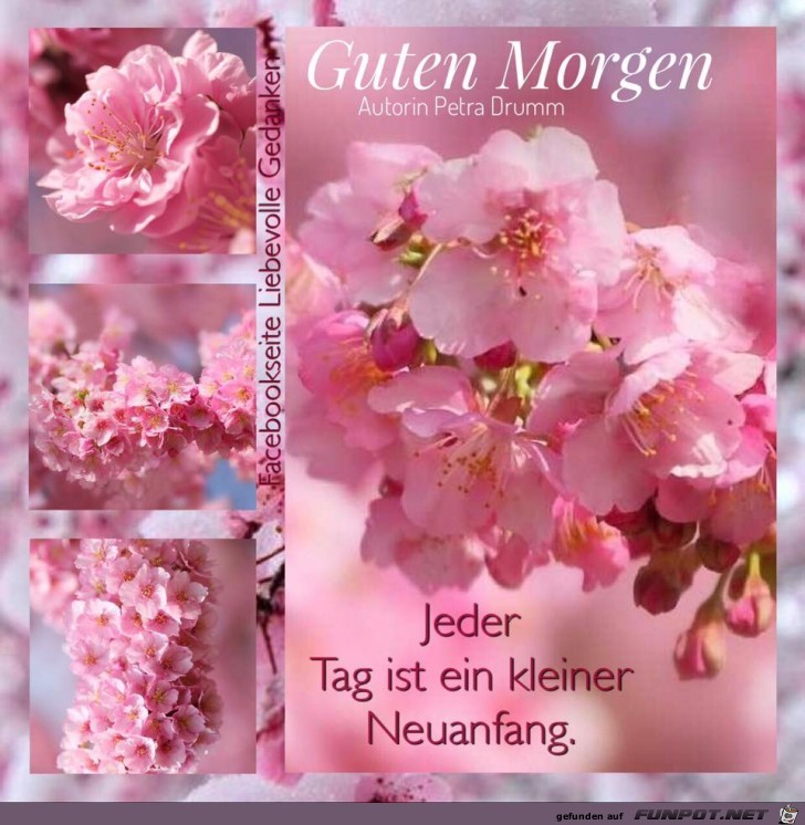 Guten Morgen Guten Morgen