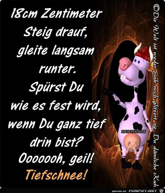 Tiefschnee Tiefschnee