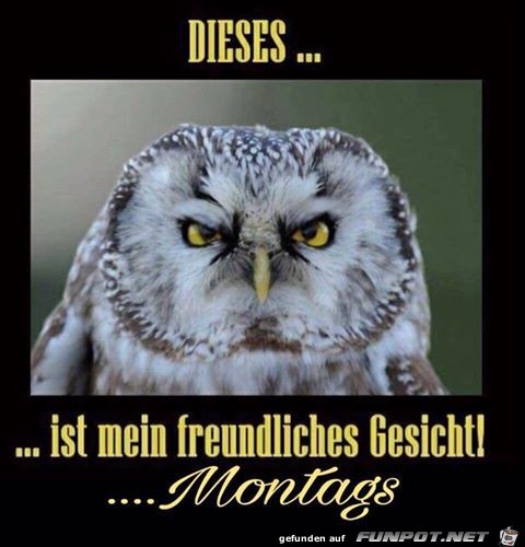 Montag