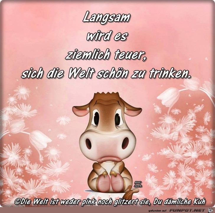 Langsam wird es ziemlich teuer Langsam wird es ziemlich teuer