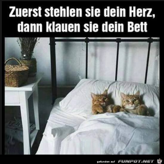 Genau so ist es