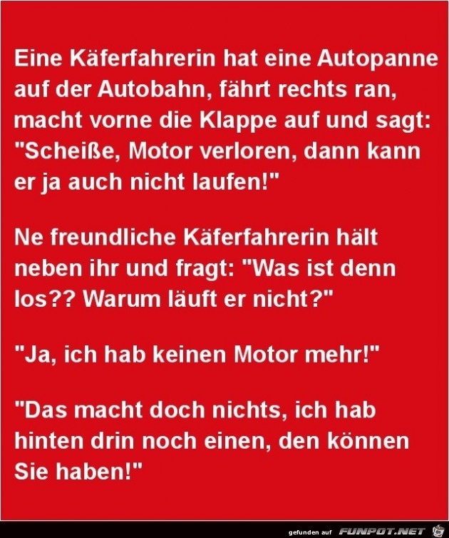 eine Käferfahrerin....... eine Käferfahrerin.......