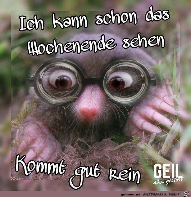 Kann schon das Wochenende sehen Kann schon das Wochenende sehen