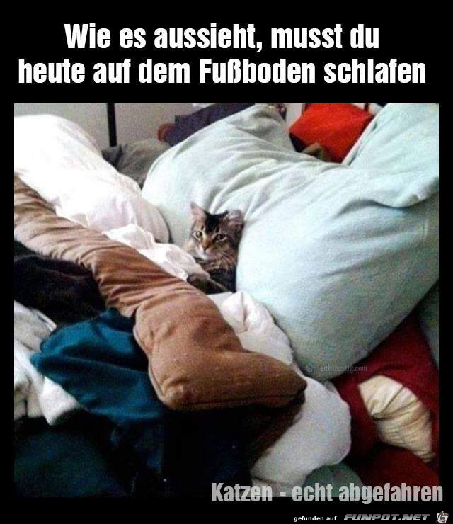 Wie es aussieht Wie es aussieht