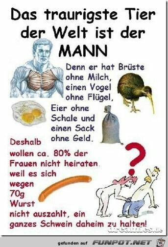 Das traurigste Tier der Welt Das traurigste Tier der Welt
