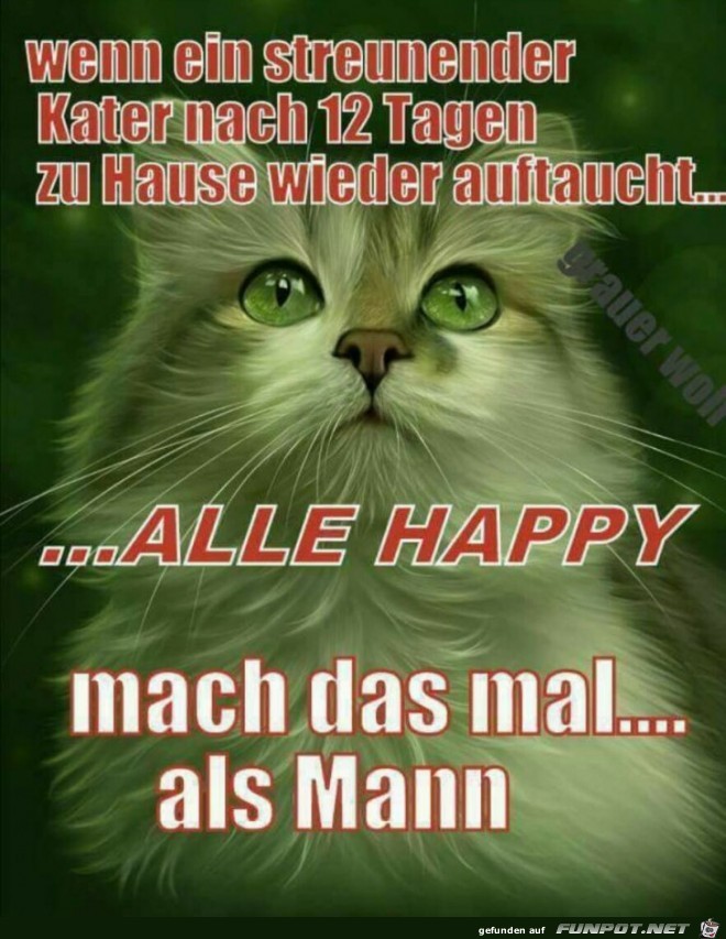 Der Vergleich Der Vergleich