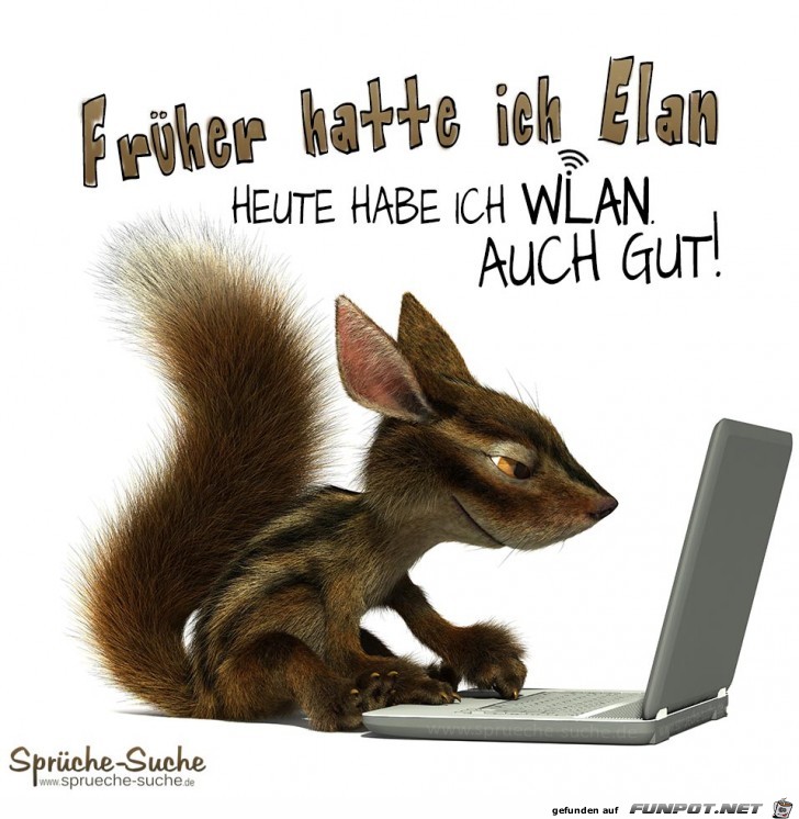 Streifenhoernchen Streifenhoernchen