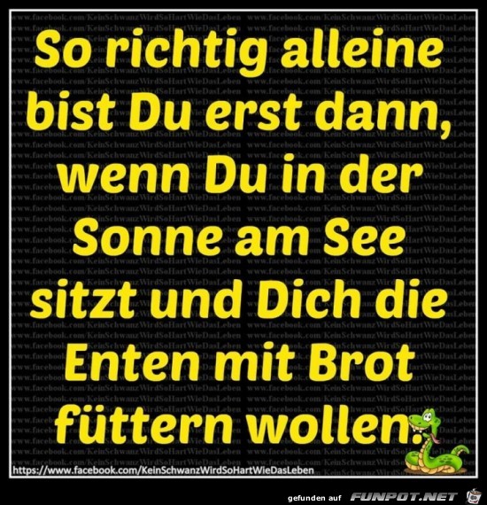 So richtig alleine So richtig alleine
