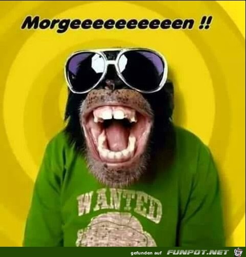 Morgeeeeeeeeeeeeen Morgeeeeeeeeeeeeen