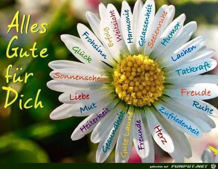 Alles Gute fuer dich Alles Gute fuer dich