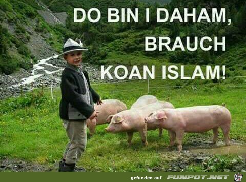 Do bin i Daham Do bin i Daham