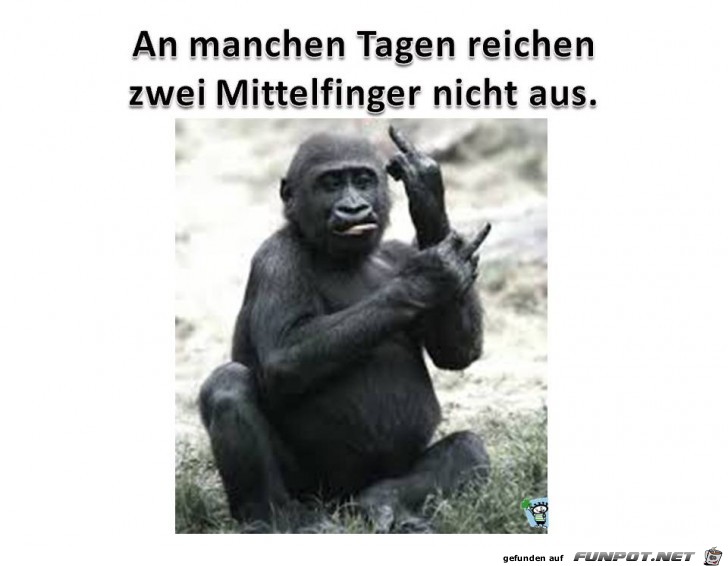 Mittelfinger Mittelfinger