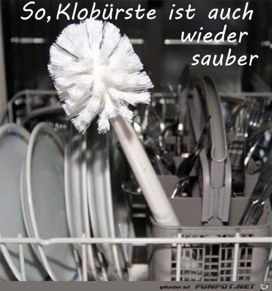 Sauber Sauber