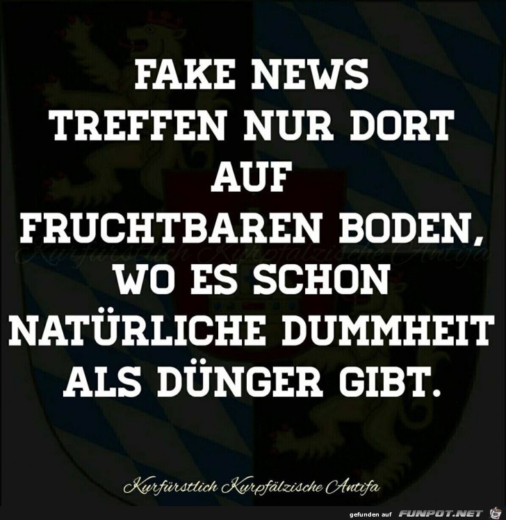 Fake News Fake News