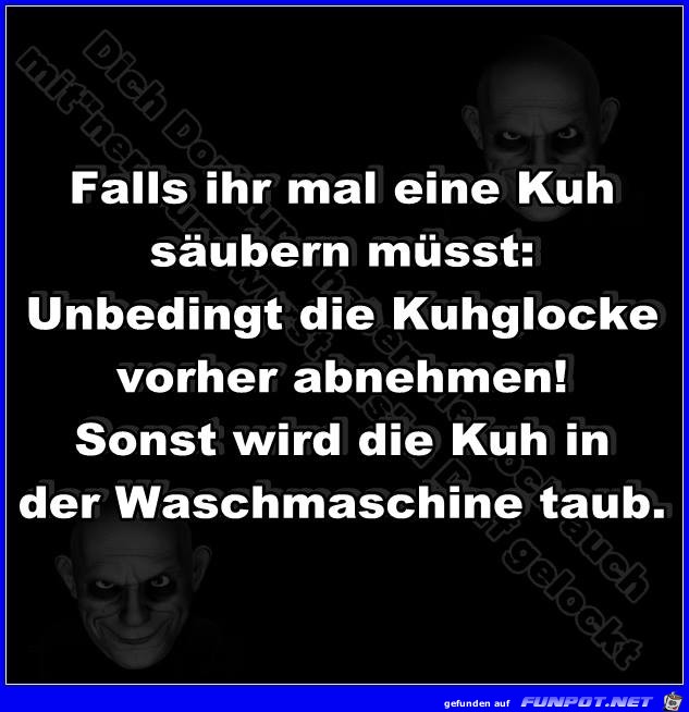 Kuehe saeubern Kuehe saeubern