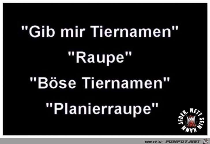 Tiernamen Tiernamen