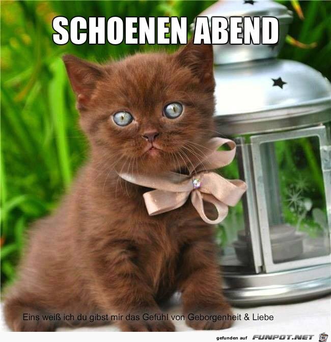 Schoenen Abend Schoenen Abend