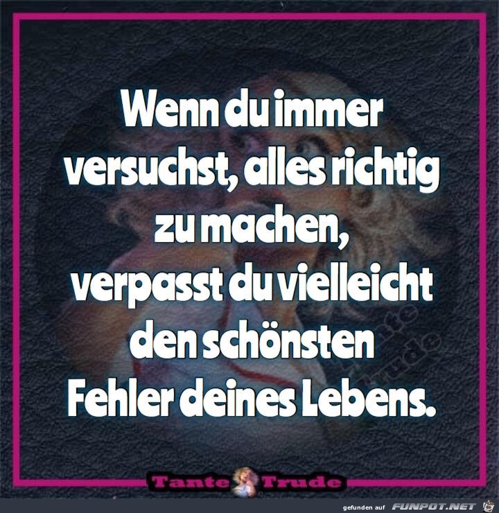 Wenn du immer versuchst Wenn du immer versuchst