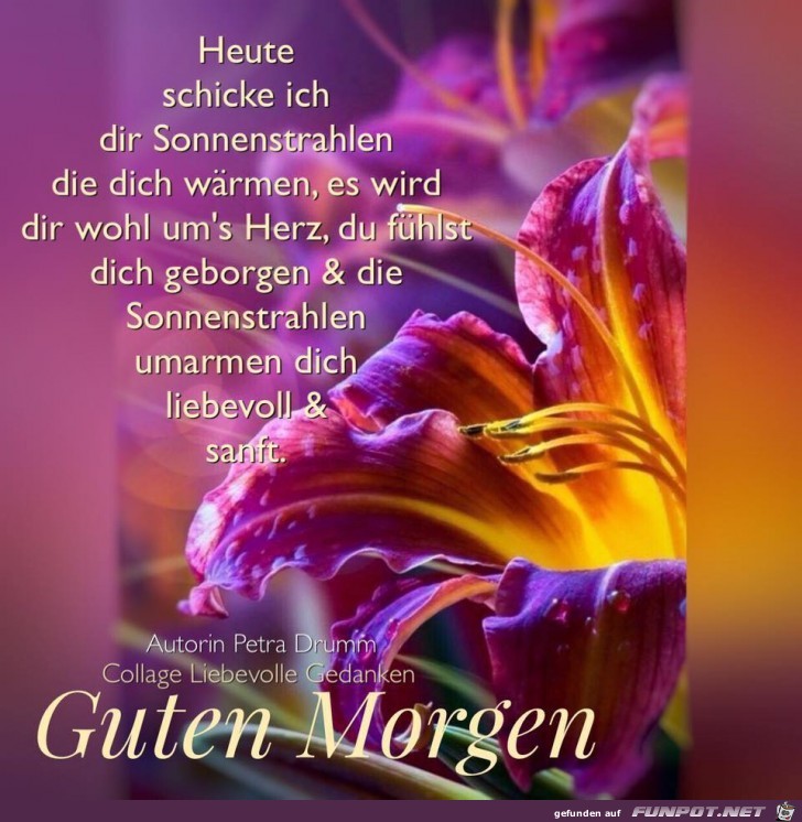 Guten Morgen Guten Morgen