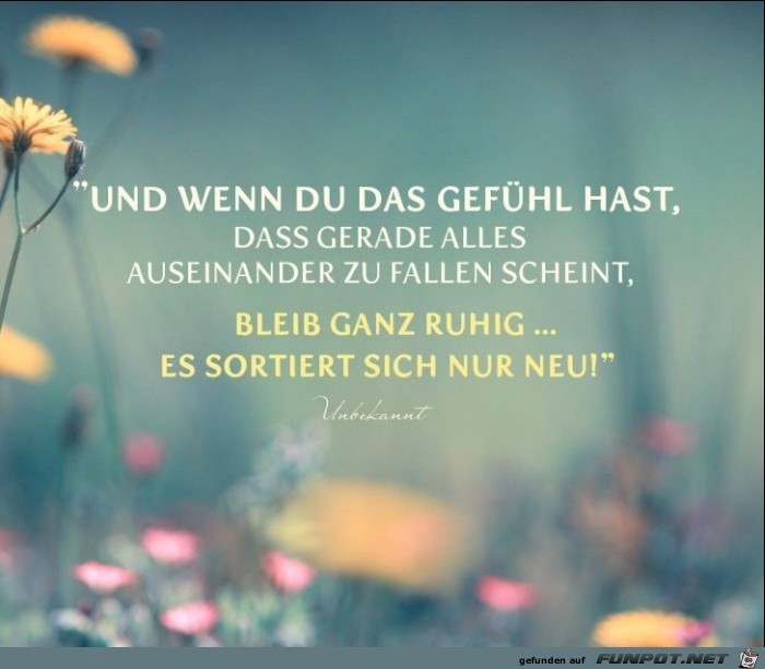 Wenn du das Gefuehl hast Wenn du das Gefuehl hast