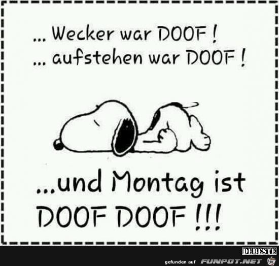 Wecker war doof....... Wecker war doof.......