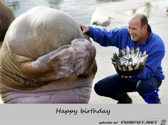 Happy Birthday Happy Birthday