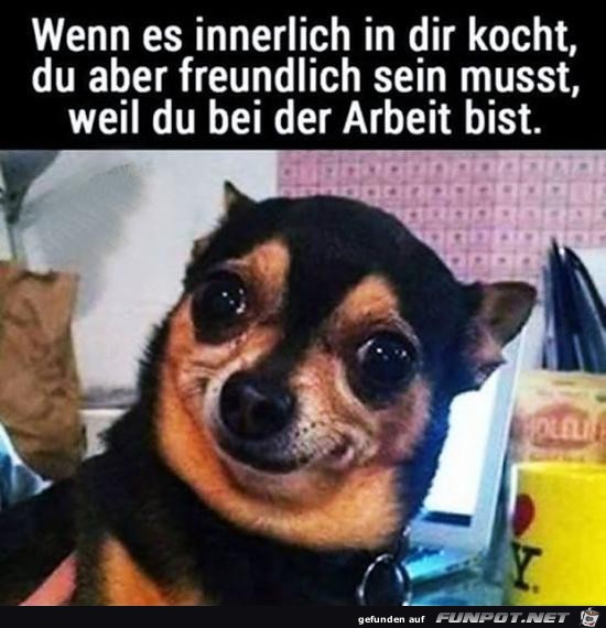 Mein schnstes Gesicht