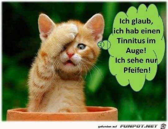 Ich glaube