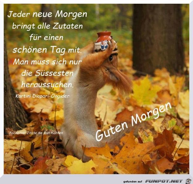 Jeder neue Morgen