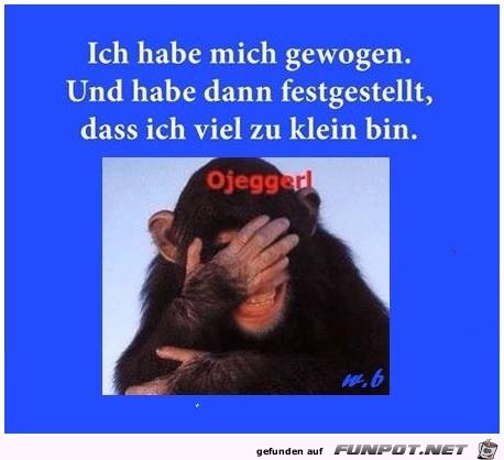 Hab mich gewogen Hab mich gewogen