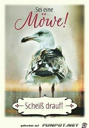 Scheiß drauf Scheiß drauf