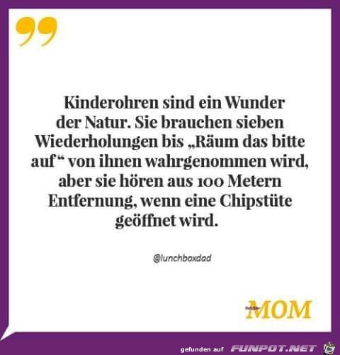 Kinderohren sind ein Wunder der Natur